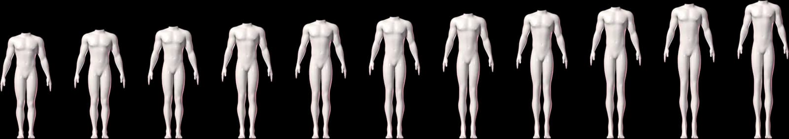 Meshbody Legacy male height lineup, base plus ten tiers from +5 cm to +50 cm